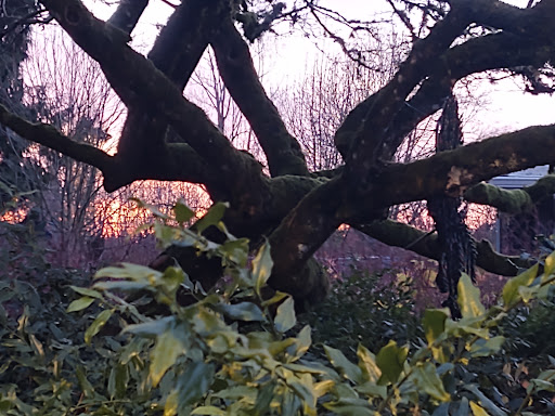 Park «Wilburton Hill Park», reviews and photos, 12400 Main St, Bellevue, WA 98005, USA