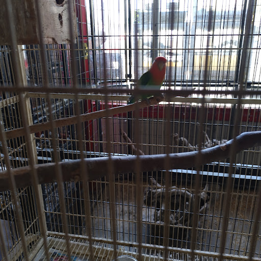 Animal Feed Store «Whittier Feed Store», reviews and photos, 12618 Penn St, Whittier, CA 90602, USA