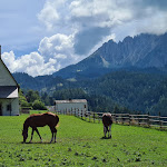 Photo n°18 de l'avis de Angelo. fait le 25/08/2021 à 05:48 sur le  Romantik Hotel Post à Welschnofen