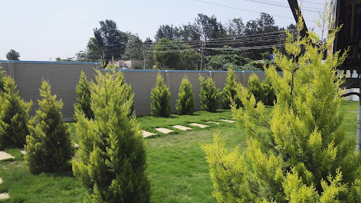 Google Maps image 21