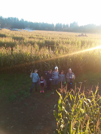 Pumpkin Patch «Rutledge Corn Maze LLC», reviews and photos, 302 93rd Ave SE, Olympia, WA 98501, USA