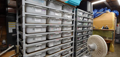 Pet Supply Store «Pet Den», reviews and photos, 1209 Nederland Ave, Nederland, TX 77627, USA