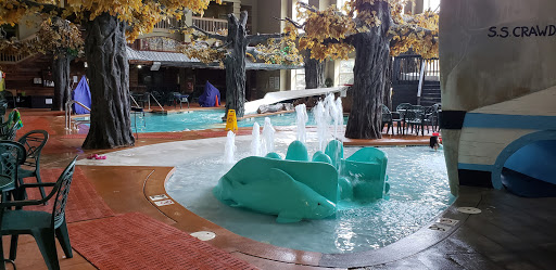 Water Park «Crawdaddy Cove Indoor Water Park», reviews and photos, 1109 Fourier Dr, Madison, WI 53717, USA