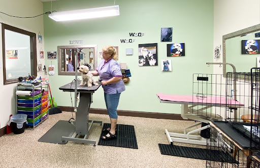 Pet Supply Store «Pet Pros», reviews and photos, 3695 Murrell Rd #101, Rockledge, FL 32955, USA