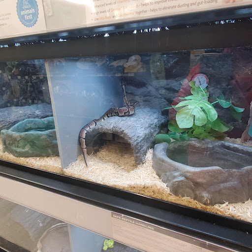 Pet Supply Store «Petco Animal Supplies», reviews and photos, 6425 Keizer Station Blvd, Keizer, OR 97303, USA