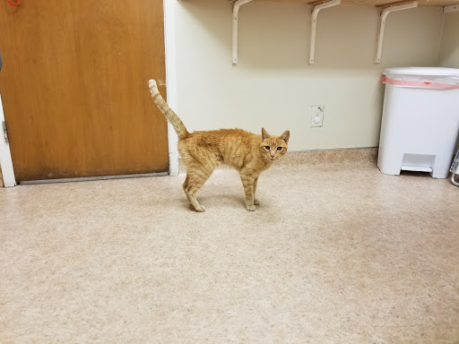 Redwood Veterinary Hospital image
