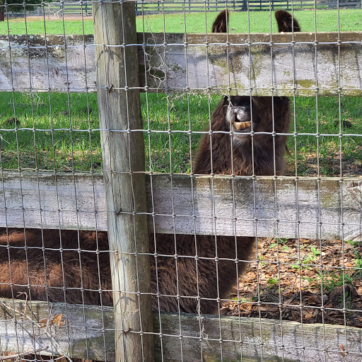 Amusement Center «Stanley Pond Adventure Farm», reviews and photos, 15426 County Rd 48, Astatula, FL 34705, USA