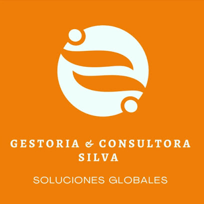 Gestoria & Consultora Silva
