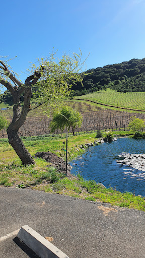 Winery «Schug Carneros Estate Winery», reviews and photos, 602 Bonneau Rd, Sonoma, CA 95476, USA