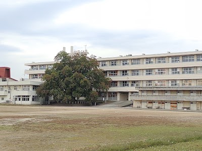 境高校のトウカエデ