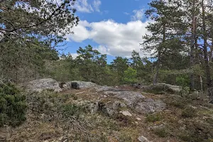 Grimsta nature reserve image