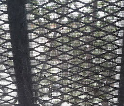 Social Center Infonavit Casas Grandes photo