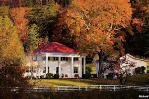 Mountain Laurel Farm image