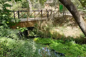 Parque El Nacimiento image