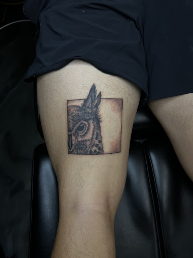 Explore httyd tattoo ideas, creative tattoo ideas in Jessup, available at Savage Ink Tattoo Studio