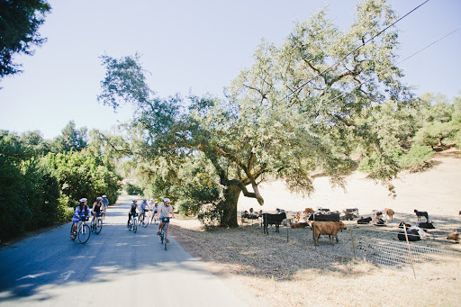 Bicycle Rental Service «Napa Valley Bike Tours & Rentals», reviews and photos, 6500 Washington St, Yountville, CA 94599, USA