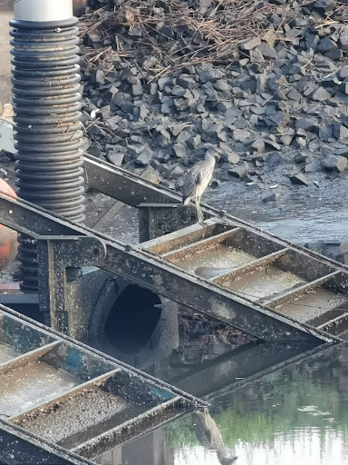 Nature Preserve «Sandy Point Bird Sanctuary», reviews and photos, Beach St, West Haven, CT 06516, USA