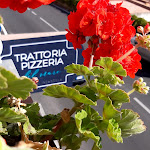 Photo n°1 de l'avis de Calogero.r fait le 13/06/2021 à 09:19 sur le  Trattoria del Mare Incandela à Altavilla Milicia