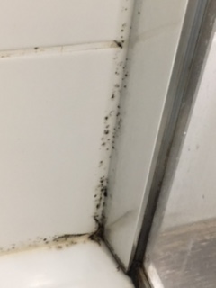 Photo n° 2 de l'avis de Stéphane.A fait le 28/06/2023 à 06:28