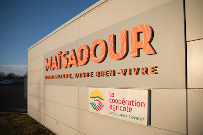 Groupe Coopératif Maïsadour à Haut-Mauco