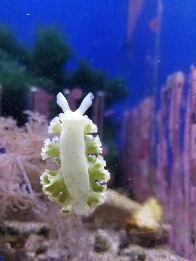 Pet Store «Fin-N-Feather», reviews and photos, 2931 F St, Eureka, CA 95501, USA