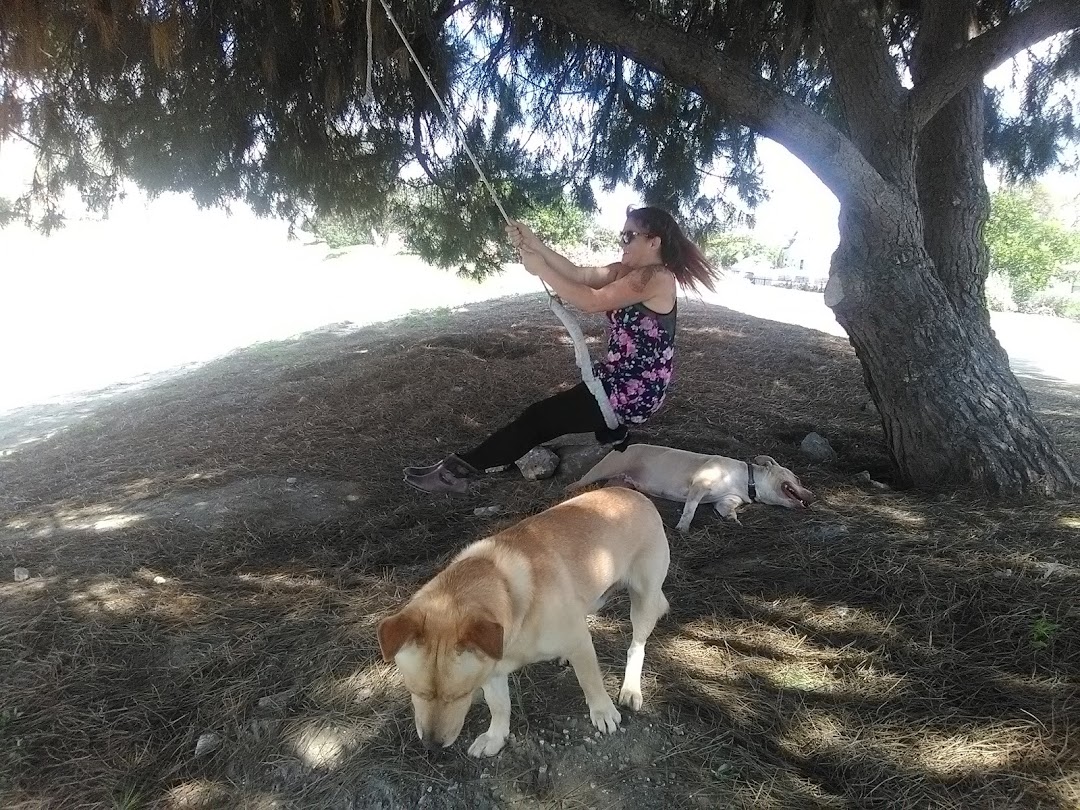 Breaker Glass Co Inc.