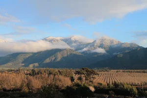 Las Araucarias Vineyard image