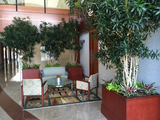 Computer Support and Services «Real Computer Solutions», reviews and photos, 1 Research Ct #450, Rockville, MD 20850, USA