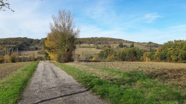 Extérieur Chambre d'hôtes les ormeaux 47300 villeneuve