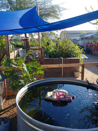 Produce Market «Blue Rooster Produce», reviews and photos, 23621 N 91st Ave, Peoria, AZ 85383, USA