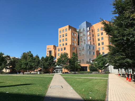 HCI Engineering Group at MIT CSAIL