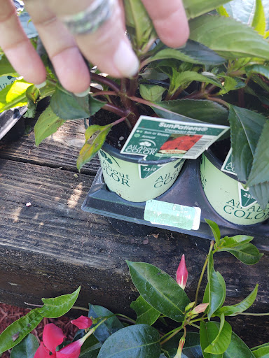 Hardware Store «Proctor Ace Hardware», reviews and photos, 1281 Atlantic Blvd, Neptune Beach, FL 32266, USA