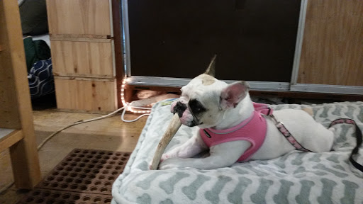 Pet Store «Next to Nature», reviews and photos, 4543 California Ave SW, Seattle, WA 98116, USA