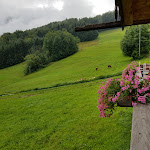 Photo n°1 de l'avis de Manfred. fait le 12/09/2021 à 10:29 sur le  Kessel-Alm à Inzell