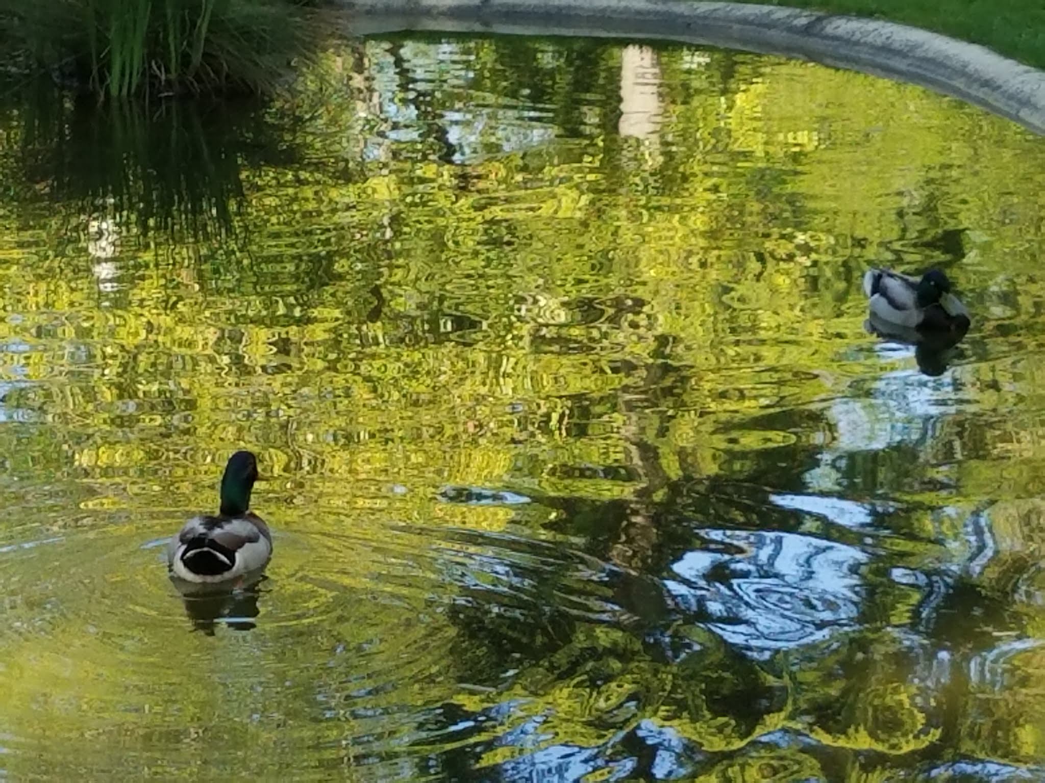 Photo n° 21 de l'avis de Elo.i fait le 14/09/2019 à 15:15