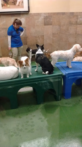 Pet Supply Store «PetSmart», reviews and photos, 9041 Snowden Square Dr, Columbia, MD 21045, USA