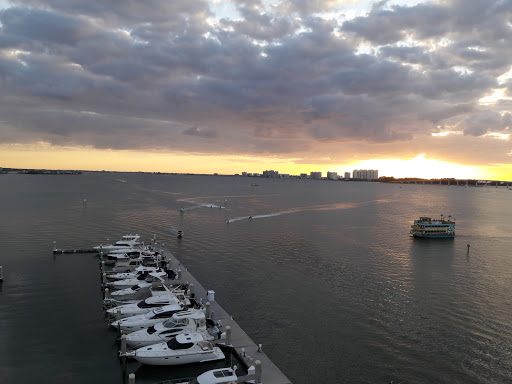 Park «Coachman Park», reviews and photos, 301 Drew St, Clearwater, FL 33755, USA