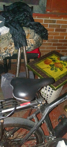 Department Store «Walmart Supercenter», reviews and photos, 4250 Philips Hwy, Jacksonville, FL 32207, USA