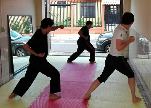 Choy Lee Fut Kung Fu Costa Rica Sede Alajuela