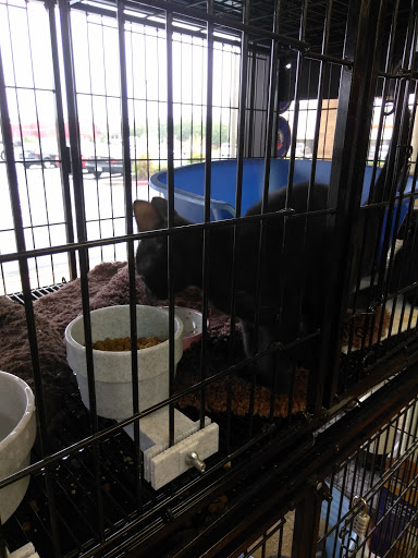 Pet Store «Pet Valu», reviews and photos, 1016 Beards Hill Rd, Aberdeen, MD 21001, USA