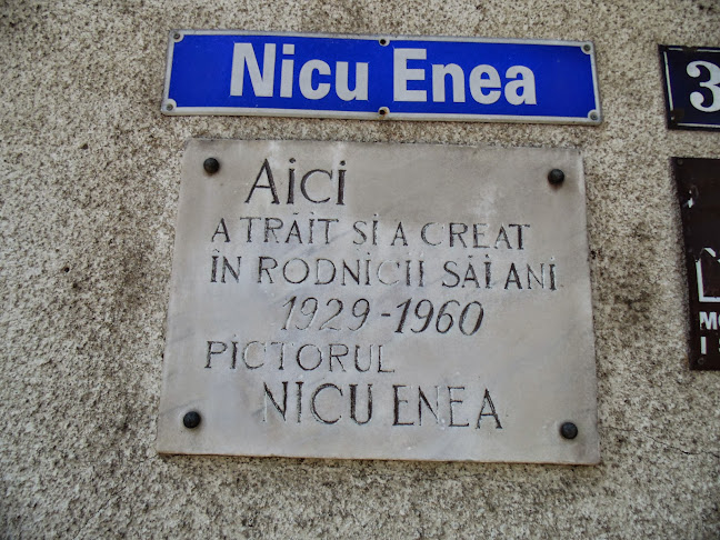 Opinii despre Casa memorială Nicu Enea în <nil> - Muzeu