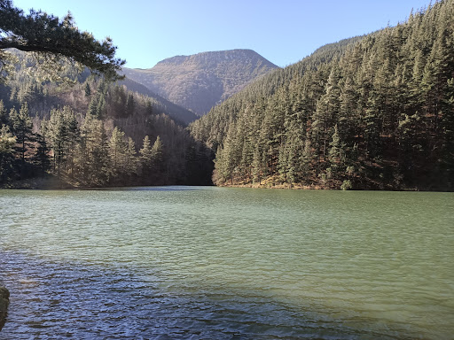 Embalse Lingorta