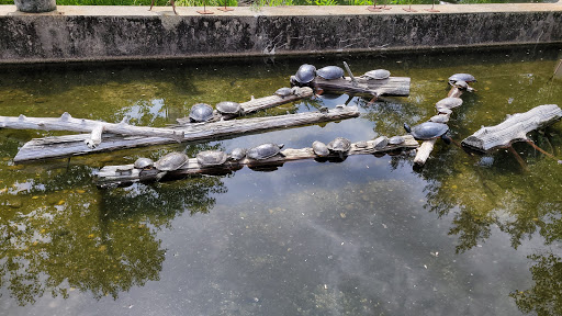 Aquarium «Cold Spring Harbor Fish Hatchery & Aquarium», reviews and photos, 1660 NY-25A, Cold Spring Harbor, NY 11724, USA