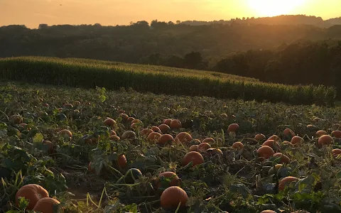 Dittmar Farms and Orchard image