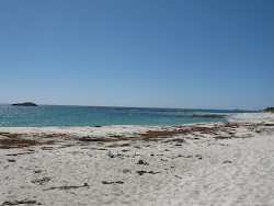 Foto de Stumpys Bay com muito limpo nível de limpeza