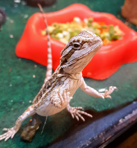 Pet Supply Store «PetSmart», reviews and photos, 20 W University Pkwy, Orem, UT 84058, USA