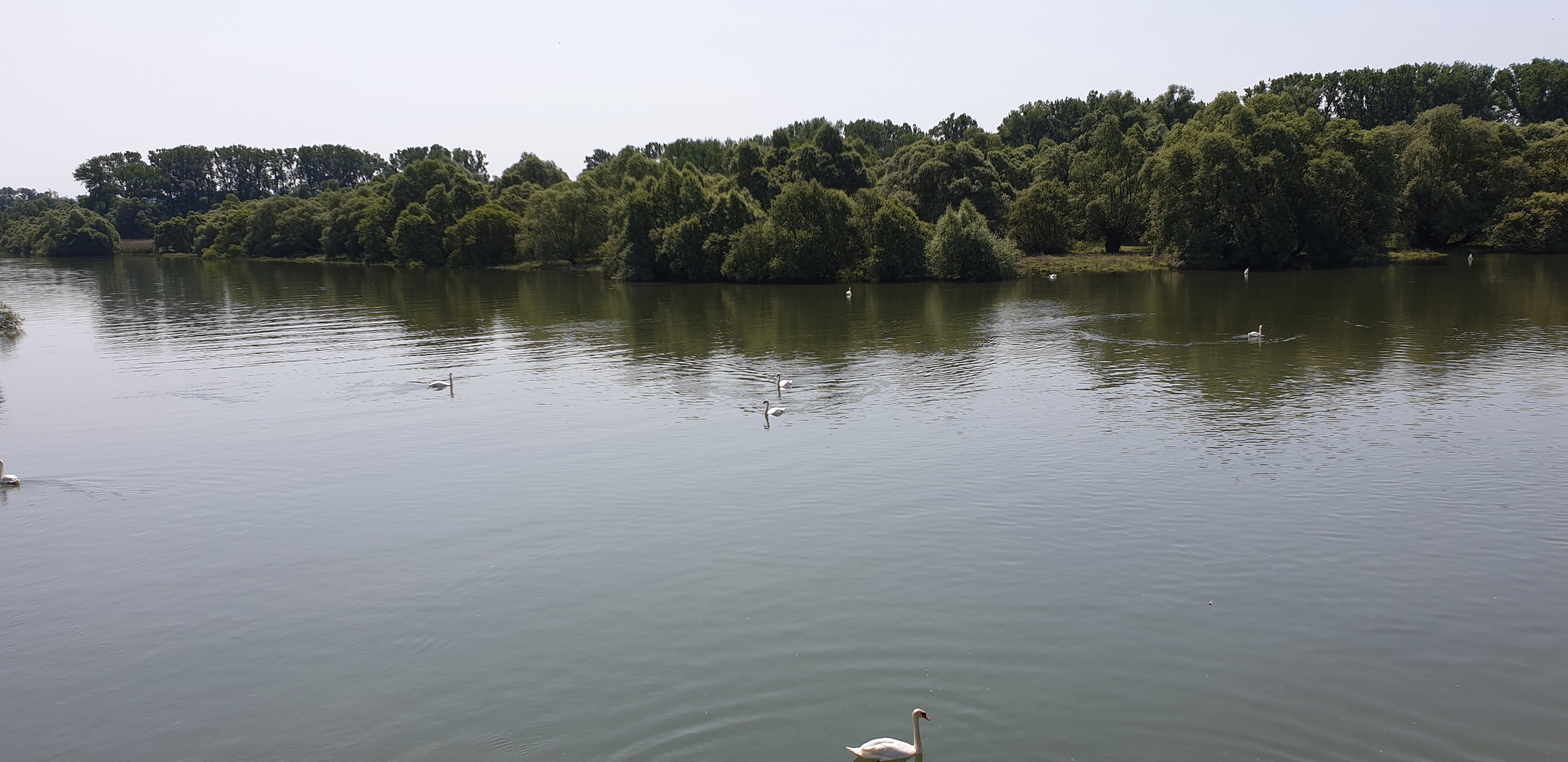 Photo n° 2 de l'avis de Bernhard.z fait le 08/06/2019 à 19:10