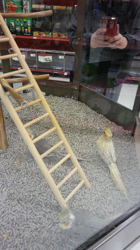 Pet Supply Store «Petco Animal Supplies», reviews and photos, 2131 Pleasant Hill Rd, Duluth, GA 30096, USA