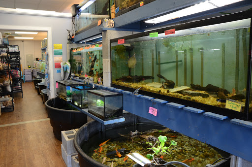 Tropical Fish Store «Age of Aquariums», reviews and photos, 118 N Cedar Ave, Cookeville, TN 38501, USA