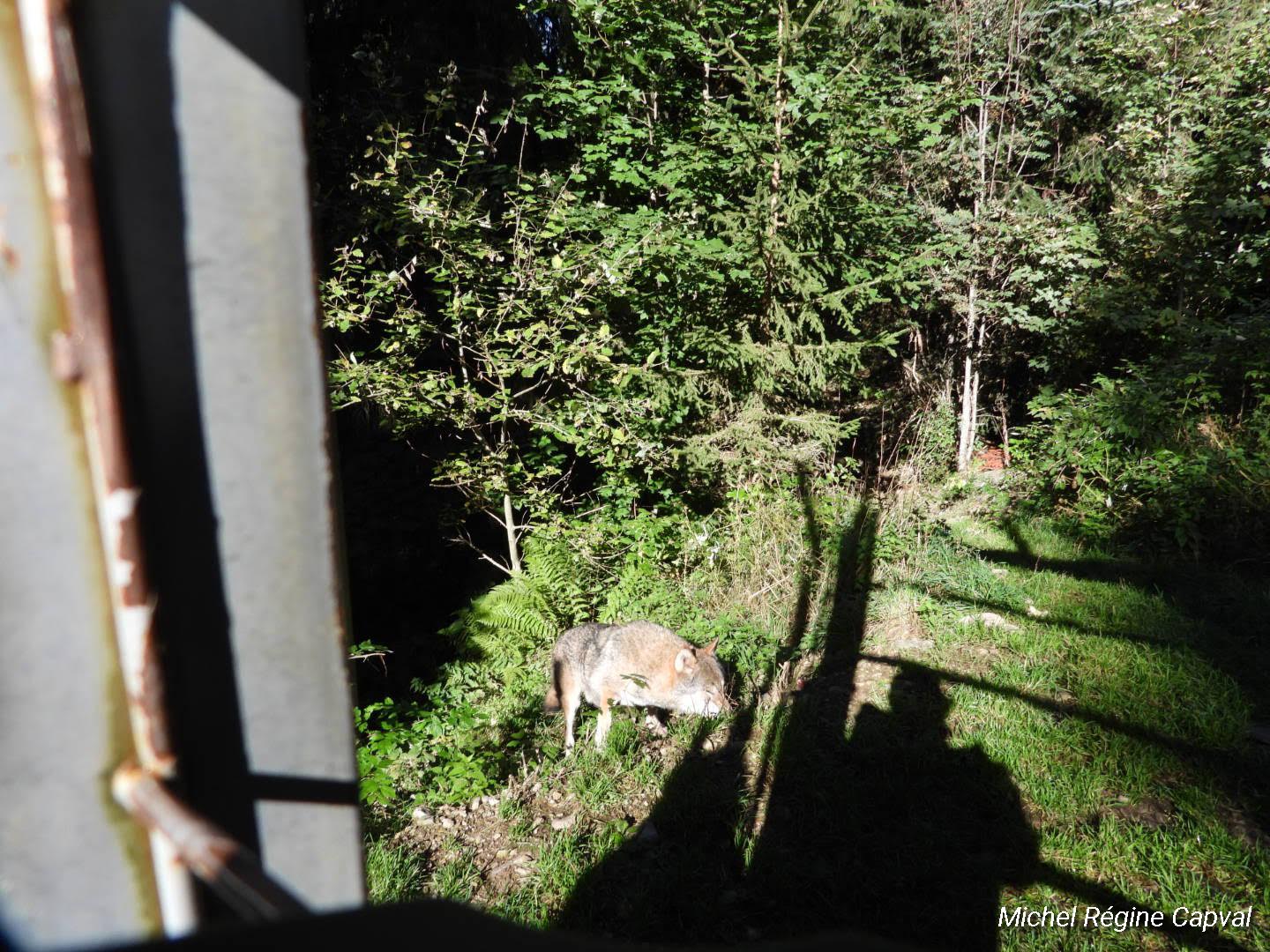 Photo n° 28 de l'avis de michel.a fait le 03/10/2019 à 13:25